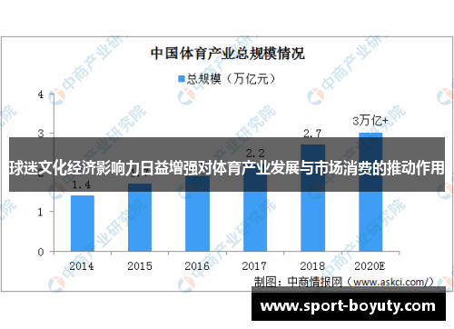 球迷文化经济影响力日益增强对体育产业发展与市场消费的推动作用